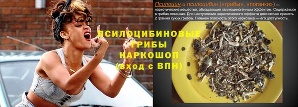 ECSTASY Алексин
