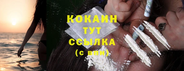 шишки Михайлов