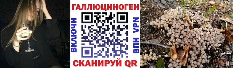 Галлюциногенные грибы MAGIC MUSHROOMS  дарк нет какой сайт  блэк спрут ССЫЛКА  Шахунья  где купить наркоту 