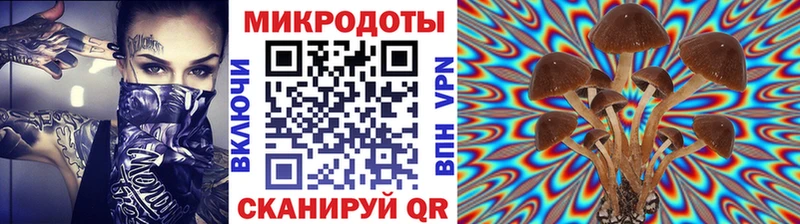 Псилоцибиновые грибы ЛСД Шахунья